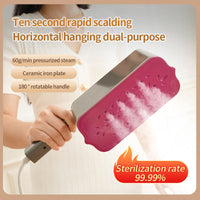Polished Perfection Handheld Steamer™